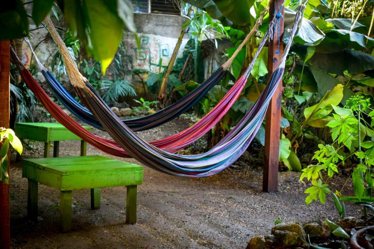 Ciao Cacao Hostel & Vegan Cafe Flores Exteriér fotografie
