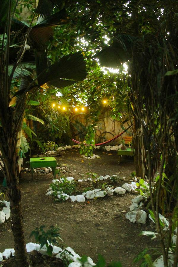 Ciao Cacao Hostel & Vegan Cafe Flores Exteriér fotografie