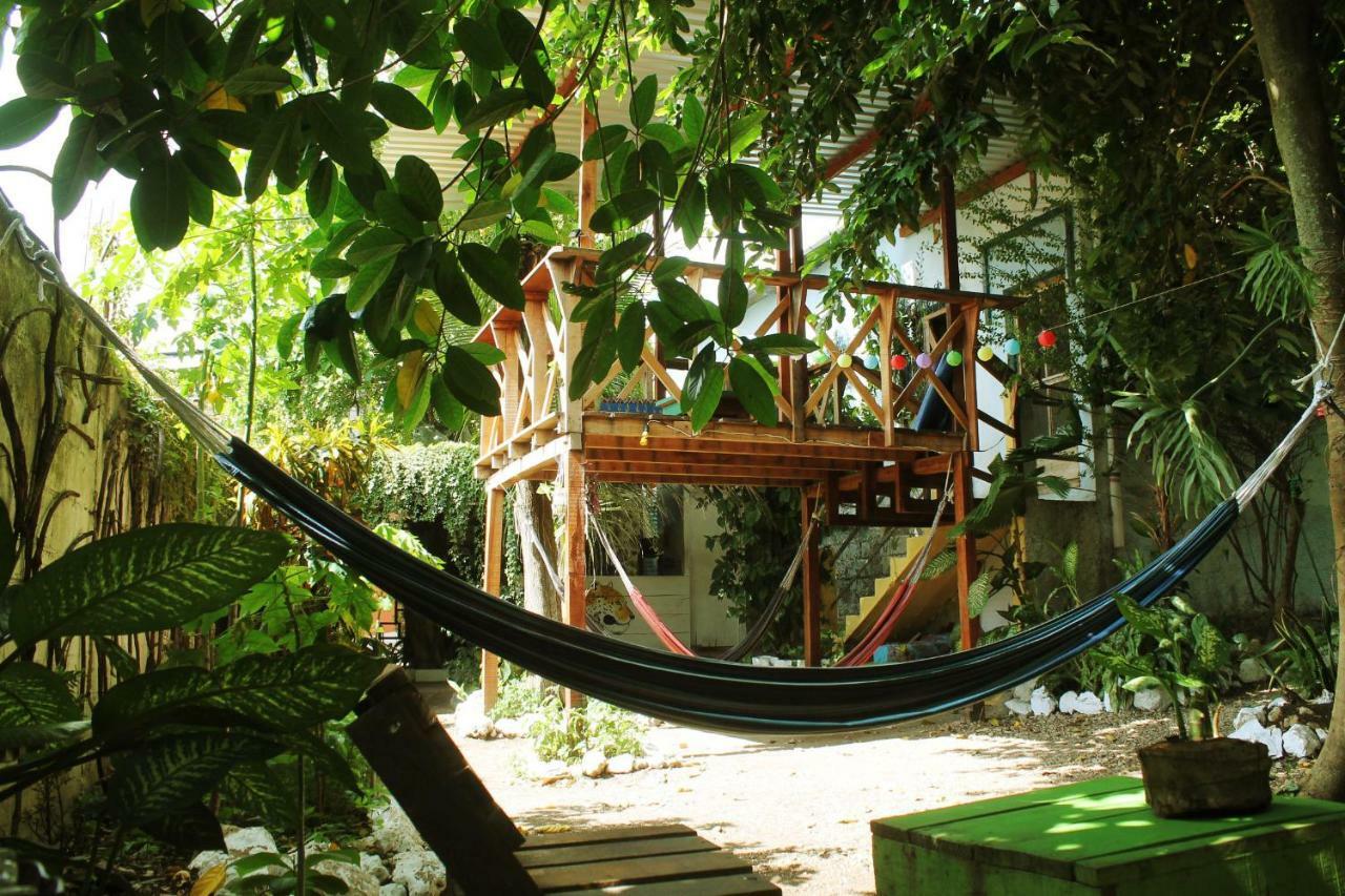 Ciao Cacao Hostel & Vegan Cafe Flores Exteriér fotografie