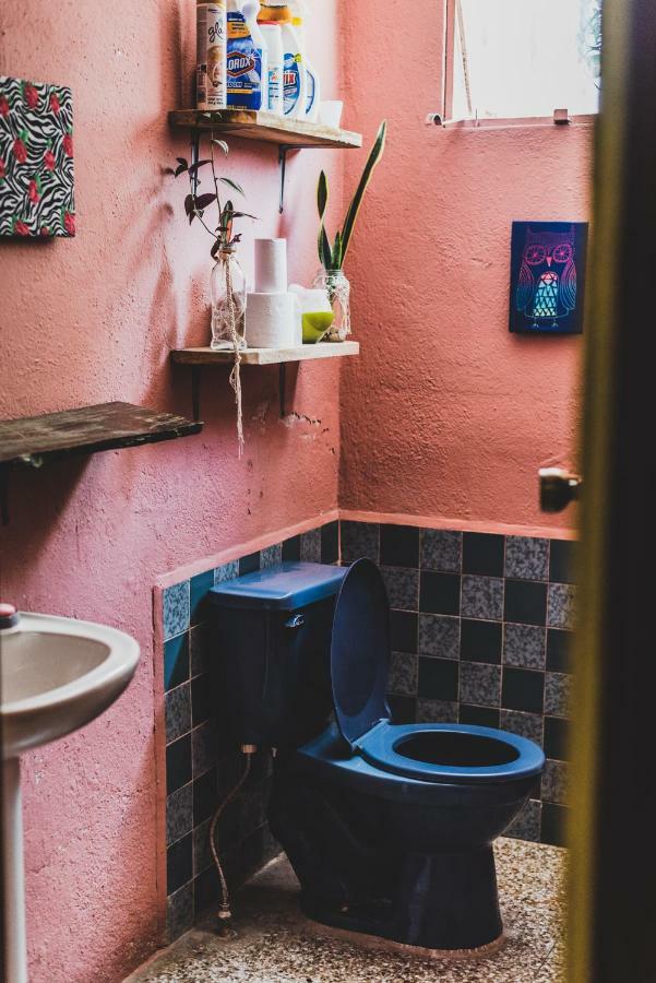 Ciao Cacao Hostel & Vegan Cafe Flores Exteriér fotografie